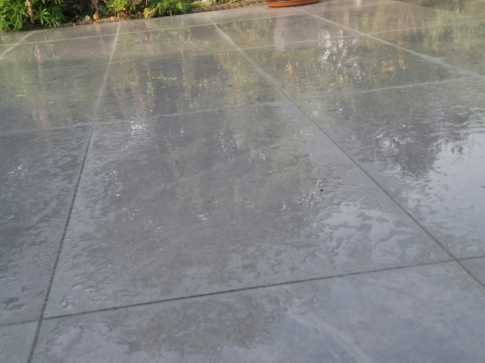 Fencing and decking
